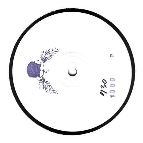 The Human Beinz / The Alan Parsons Project - Volume 3 | Dark & Lovely (DDL 003)