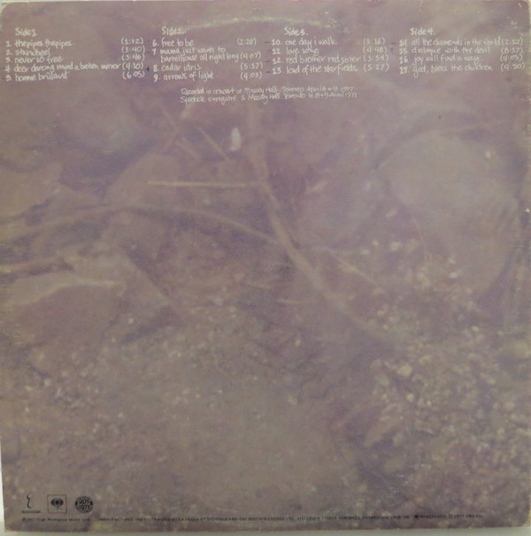 Bruce Cockburn - Circles In The Stream (2LP) [Vinyl] | True North (GTN-30) - 4