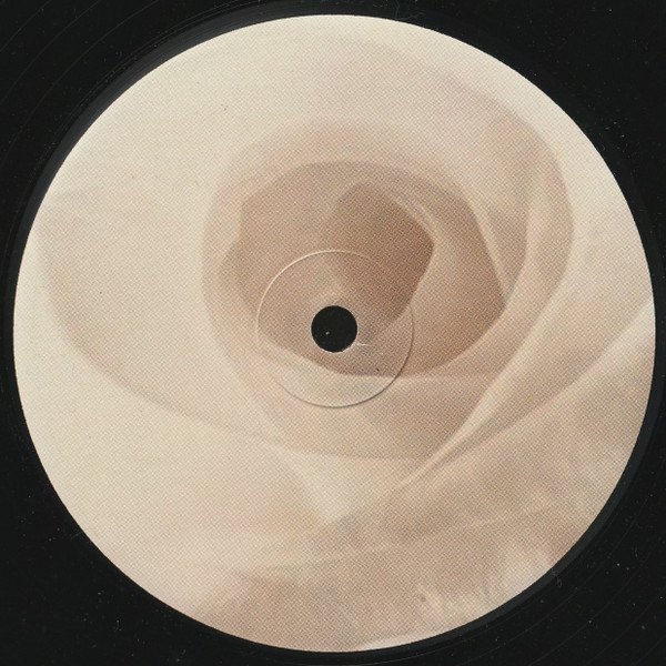 Dennis Ferrer Feat. Aaron Pearson - It's A Beautiful Life | Sfere (sf-014) - 2