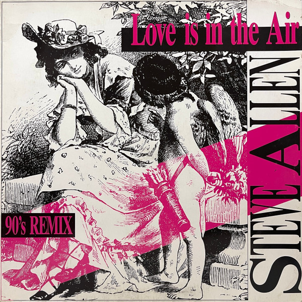 Steve Allen - Love Is In The Air (90's Remix) | BCM Records (12479)
