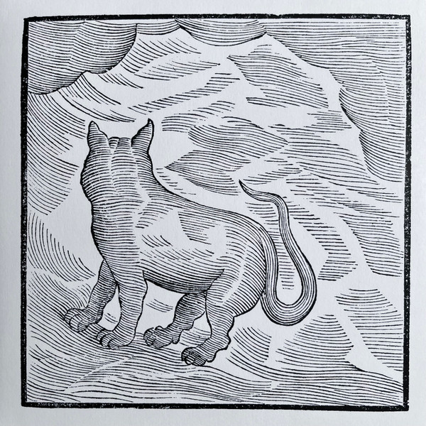 Valentina Magaletti & YPY - Kansai Bruises | AD 93 (WHYT103) - main