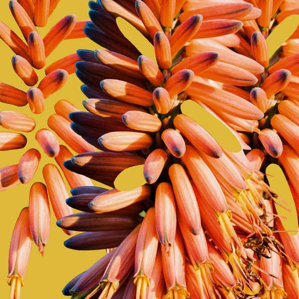 Sampology , Charlie Hill - Galaxy | Middle Name Records (MNR006) Sampology , Charlie Hill - Galaxy | Middle Name Records (MNR006)