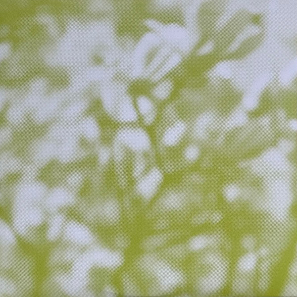 Tara Clerkin Trio - In Spring | World Of Echo (WOE004) - 2