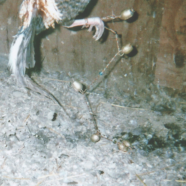 Kramp - Nervous Rattles | (K-RAA-K)³ (K105) - main