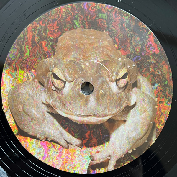 Bald Headed Dred - The Dred Knought | Music Preservation Society (FROG1) - 2 Bald Headed Dred - The Dred Knought | Music Preservation Society (FROG1) - 2