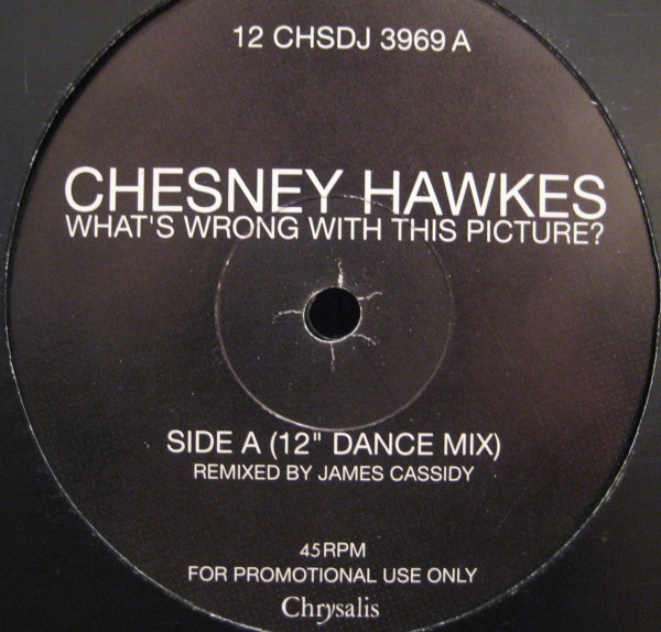 Chesney Hawkes - What's Wrong With This Picture | Chrysalis (12 CHSDJ 3969) - main
