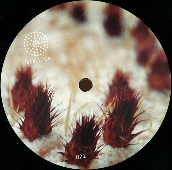 Cesare vs. Disorder - Wide Close Up EP | Serialism Records (SER021) - 2