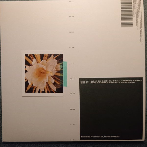 Polygonia , Popp - Candid | Squama (SQM022)