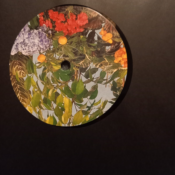 Polygonia , Popp - Candid | Squama (SQM022) - 3