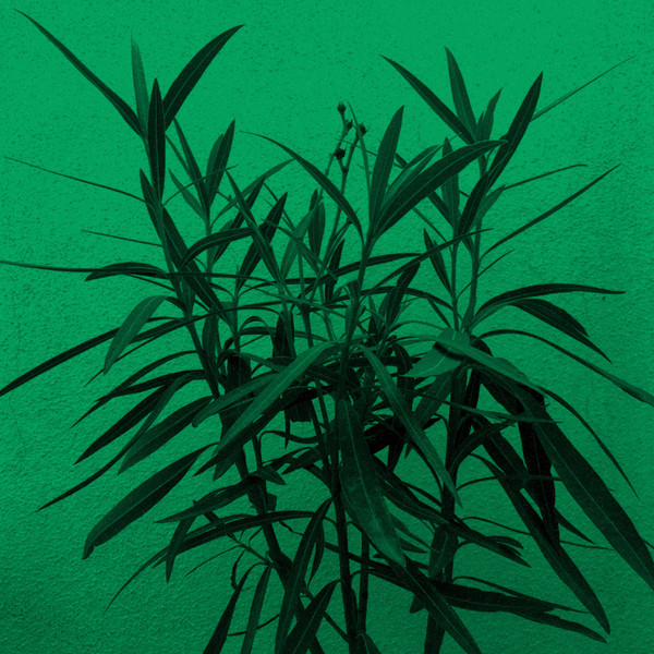 Winter In June & Vâyu - Dance Of The Kachinas | Kizen Records (KZN003) Winter In June & Vâyu - Dance Of The Kachinas | Kizen Records (KZN003)