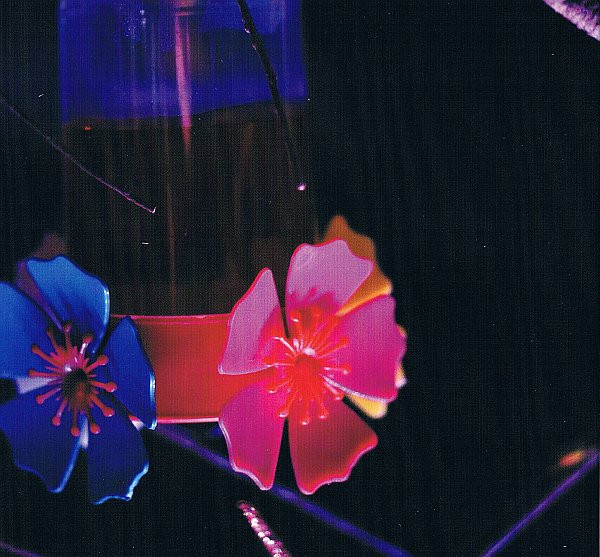 Vanessa Da Mata - Ao Vivo (Live In Brazil) | Discograph (6140192) - 2