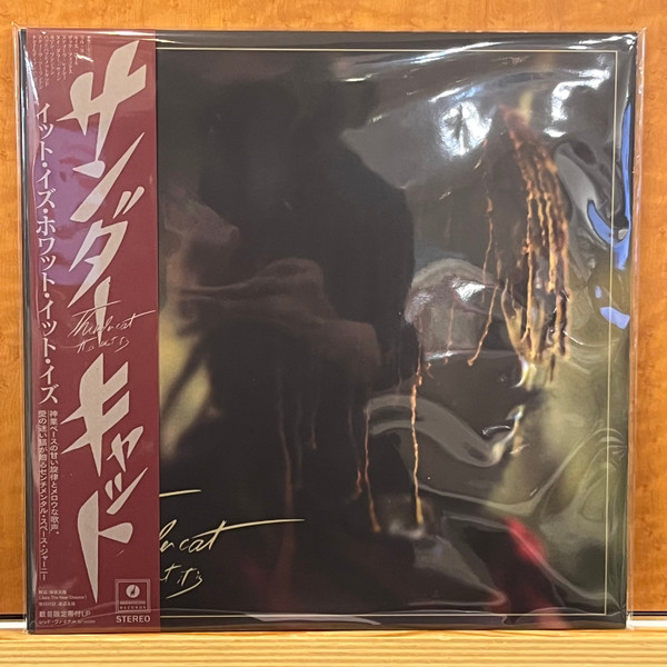 Thundercat - It Is What It Is | Brainfeeder (BF100BR)