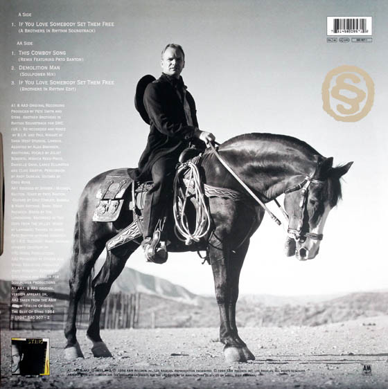 Sting - This Cowboy Song | A&M Records (580 957-1) - 2