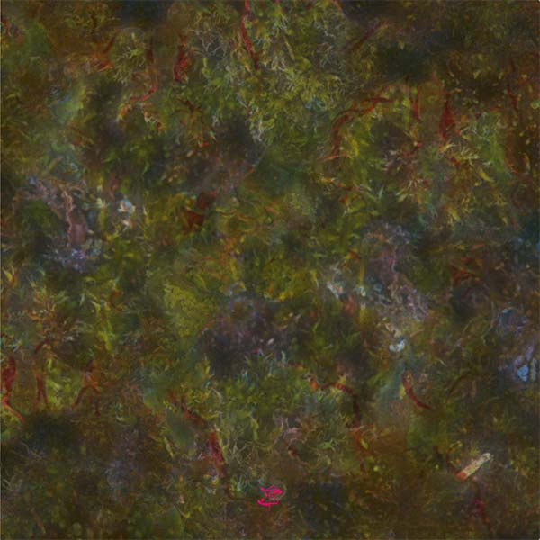 Overland - Blink For Eternity | Paryìa (Paryìa003) - main