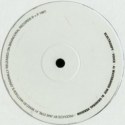 Electrospy - Voice | Legwork (LWK9) - 2