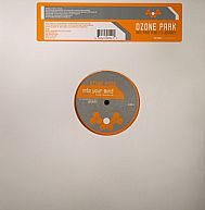 Into Your Mind / D Journey