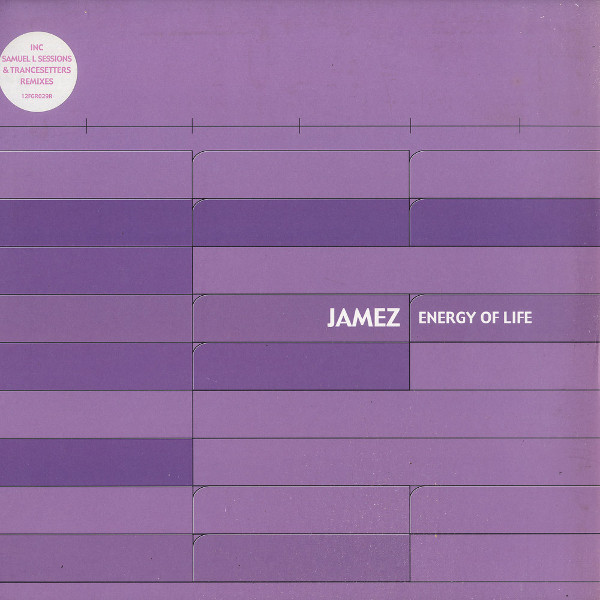 Jamez - Energy Of Life | Future Groove (12FGR029R)