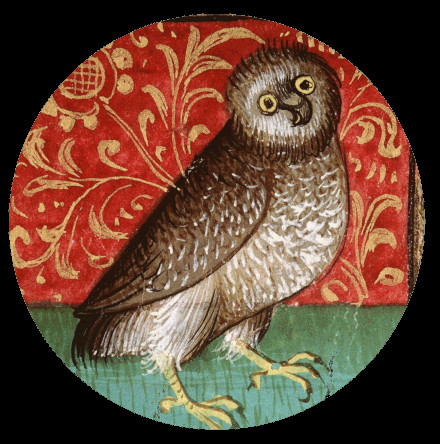 Kou - Kou | All Night Flight (none) - 4