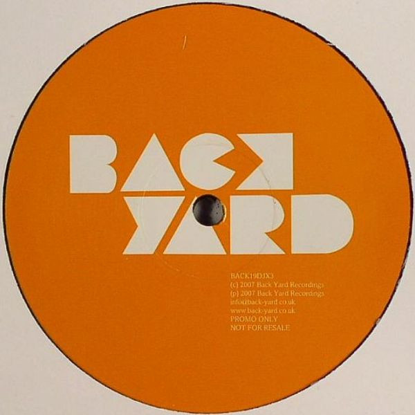 The Gossip - Standing In The Way Of Control (Remixes) | Back Yard Recordings (BACK19DJX3) - 2