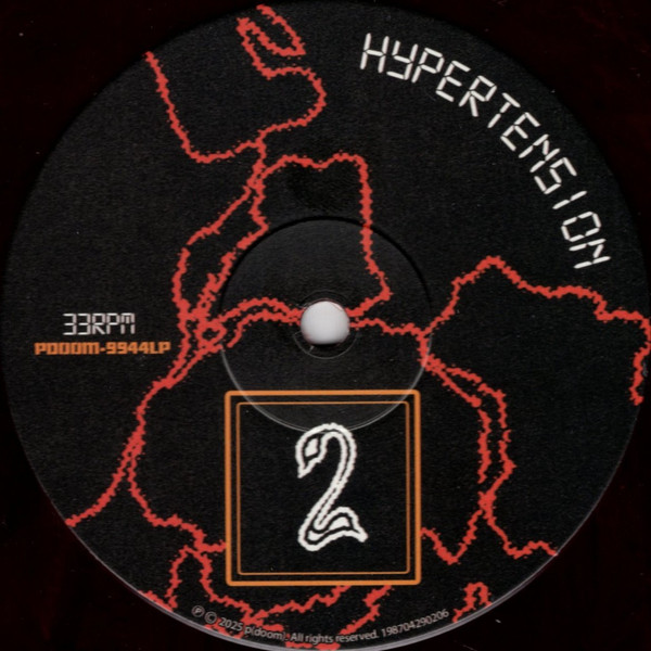 King Gizzard And The Lizard Wizard - Laminated Denim | p(doom) records (PDOOM-9944LP) - 4