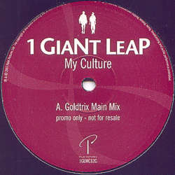 1 Giant Leap - My Culture | Palm Pictures (1GLMC12C) - main