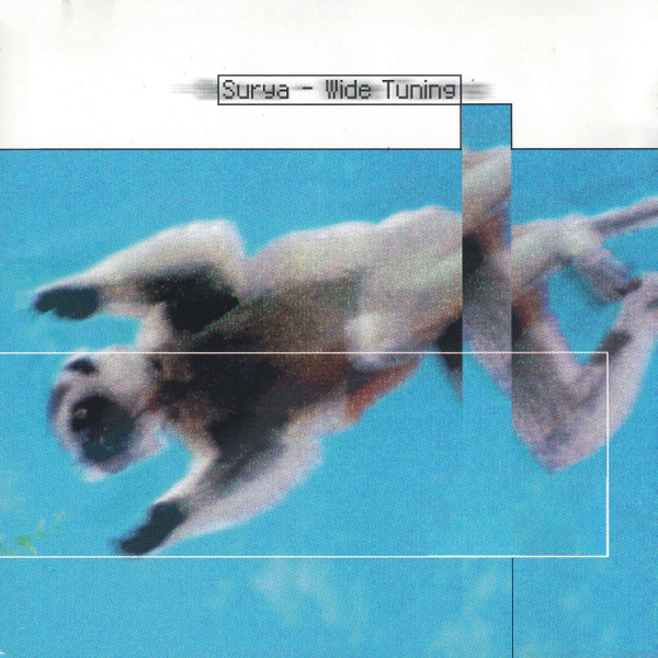 Surya - Wide Tuning | Dualismo Sound (DSND010) - main Surya - Wide Tuning | Dualismo Sound (DSND010) - main