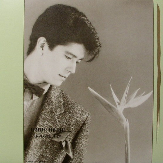Tatsuhiko Yamamoto - Romantic View = ロマンティック・ビュー | Eastworld (WTP-90251)