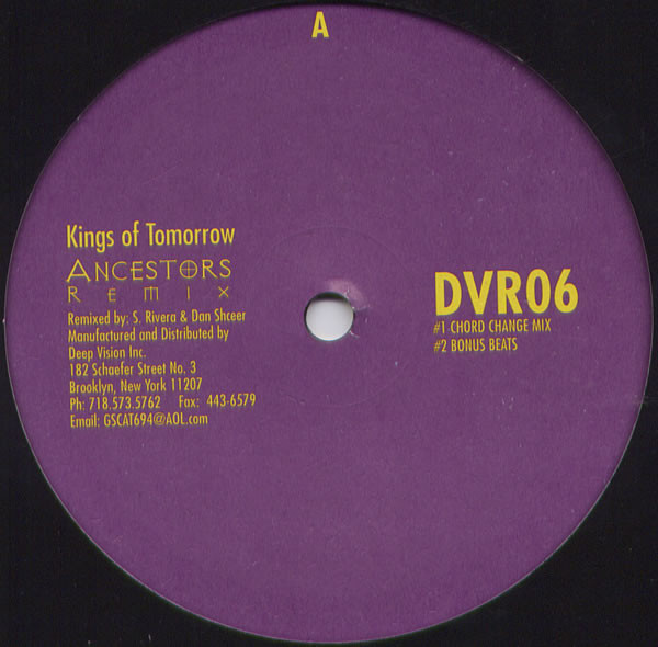 Kings Of Tomorrow - Ancestors Remix | Deep Vision Records (DVR06)