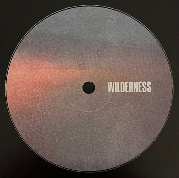Hobzee & Response - Andromeda EP | Wilderness (WILDERNESS004) - 2 Hobzee & Response - Andromeda EP | Wilderness (WILDERNESS004) - 2