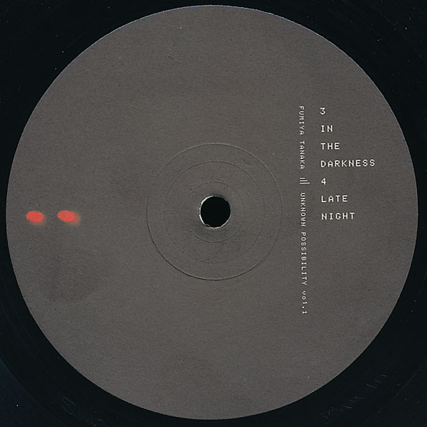Fumiya Tanaka - Unknown Possibility Vol. 1 | Torema Records (TRMLP001) - 4 Fumiya Tanaka - Unknown Possibility Vol. 1 | Torema Records (TRMLP001) - 4