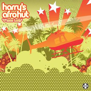 Harry's Afro Hut - C'mon Lady | Positiva (12TIV 193) - main