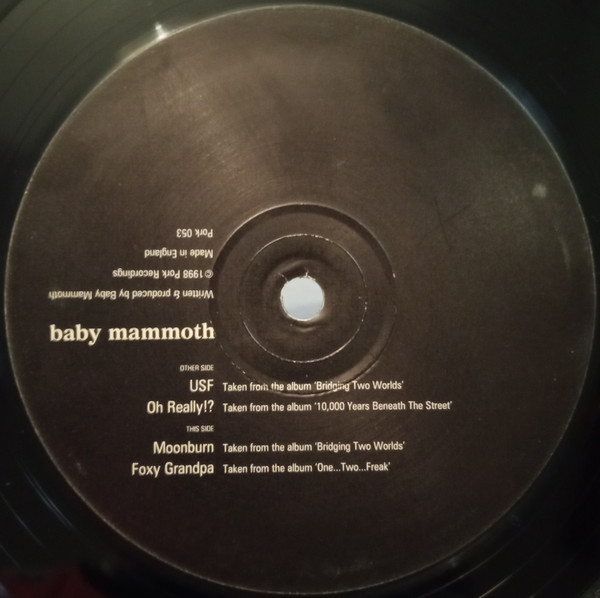 Baby Mammoth - U.S.F. | Pork Recordings (PORK 053)