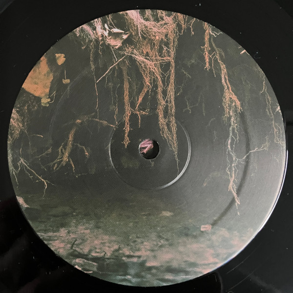 Various - Network Concepts Part 3 | Biotope Archives (BIOTOPE03) - 2