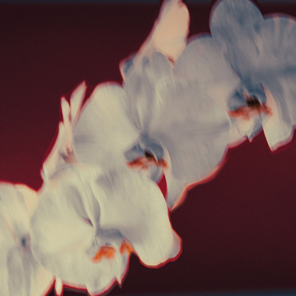 Kat Rose , Mikekon , Osunlade , CoFlo , Ritmiq - I See You | WIP Music (WIP//009)