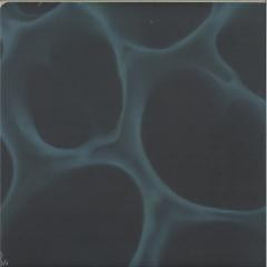 BLNDR - Radiolaria | Hypnus Records (HYPNUS045)