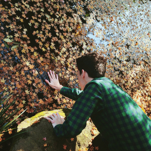 The View Electrical - Roseland | Hummus Records (HUMM034)