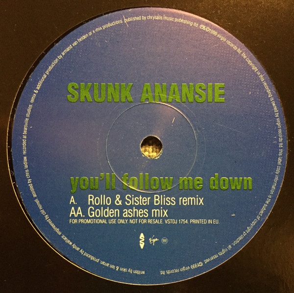 Skunk Anansie - You'll Follow Me Down | Virgin (VSTDJ 1754) - 2