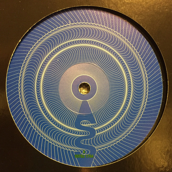 Skunk Anansie - You'll Follow Me Down | Virgin (VSTDJ 1754) - 3