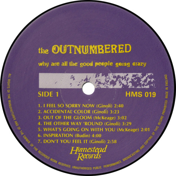 The Outnumbered - Why Are All The Good People Going Crazy | Homestead Records (HMS019) - 3 The Outnumbered - Why Are All The Good People Going Crazy | Homestead Records (HMS019) - 3