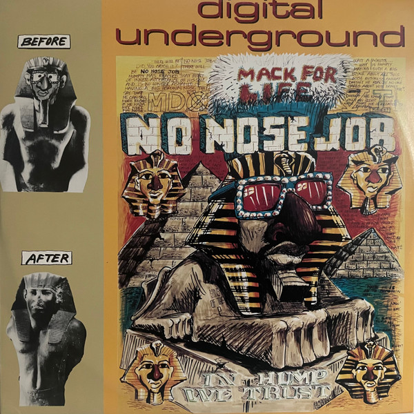 Digital Underground - No Nose Job | Flying International (FIN 065)