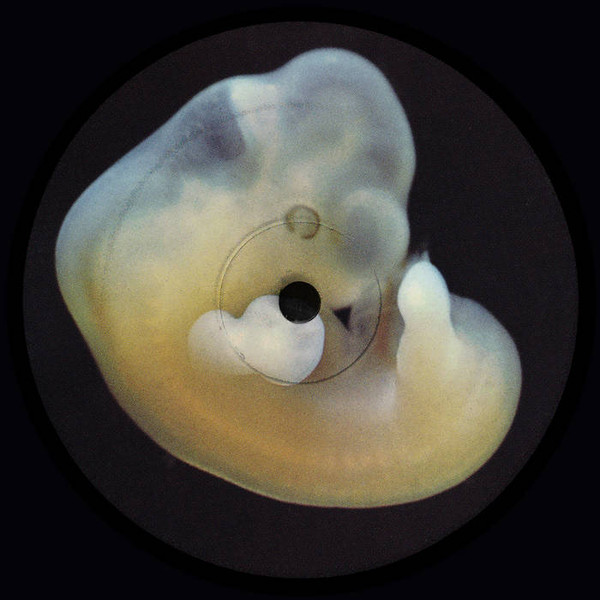 Henrik Bergqvist - Earth Creatures | Aniara Recordings (Aniara35)