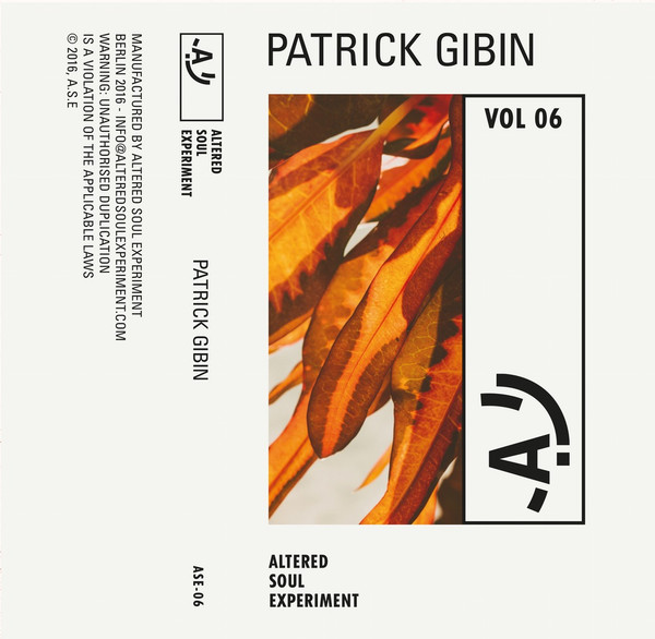 Patrick Gibin - Altered Soul Experiment 06 | Altered Soul Experiment (ASE-06)