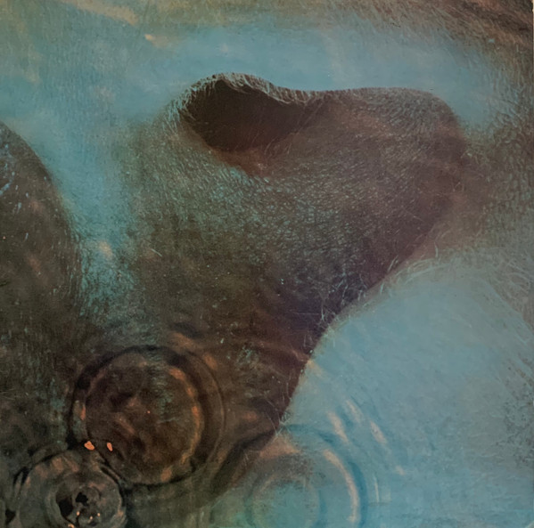 Pink Floyd - Meddle | Harvest (SHVL 795)