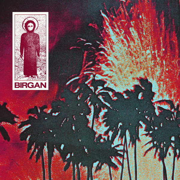 Birgan - Echoes Across Realm A Percussive Journey | Danza Nativa (DN018)