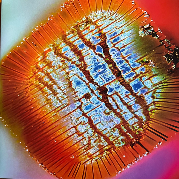 Mac Declos - Nothing Stands Still | Mama Told Ya (MTY013) - 2