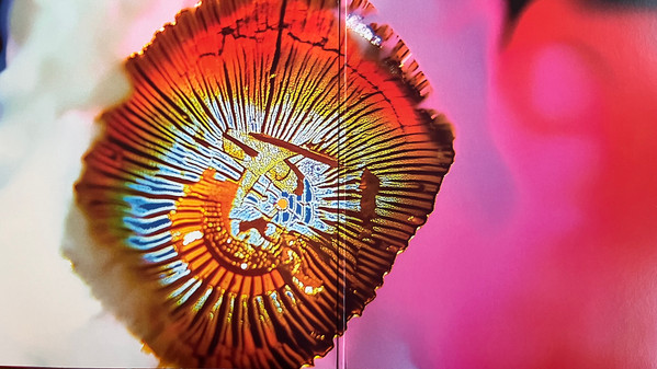 Mac Declos - Nothing Stands Still | Mama Told Ya (MTY013) - 3