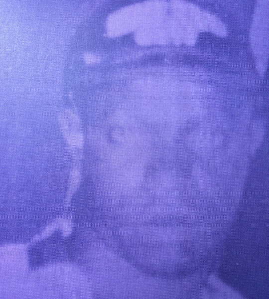 Mad Cobra - Goldmine (Dubbed Out By Prince Jazzbo) | 333 (333LP019)