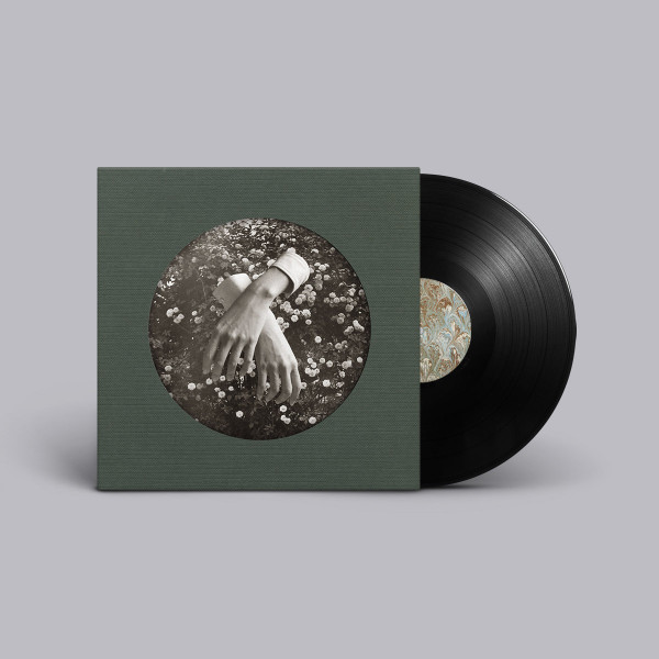 aspidistrafly - A Little Fable | Kitchen. Label (KI-031)