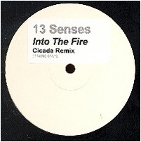 Thirteen Senses - Into The Fire | Not On Label (FIRE 001) - main