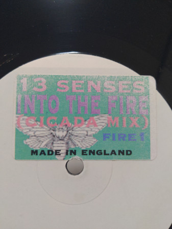 Thirteen Senses - Into The Fire | Not On Label (FIRE 001) - 2